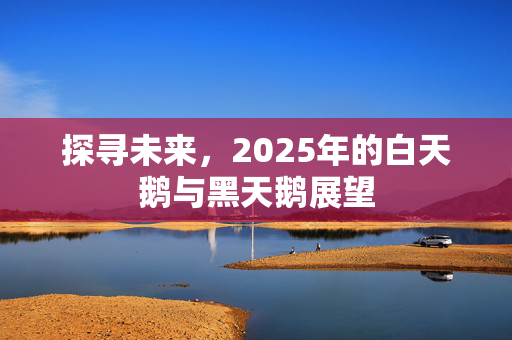 探寻未来，2025年的白天鹅与黑天鹅展望