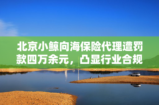 北京小鲸向海保险代理遭罚款四万余元，凸显行业合规经营重要性