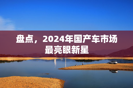 盘点，2024年国产车市场最亮眼新星