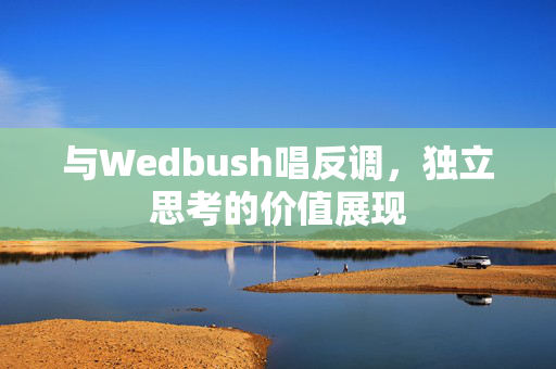 与Wedbush唱反调，独立思考的价值展现