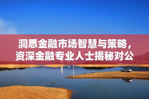 洞悉金融市场智慧与策略，资深金融专业人士揭秘对公金融实战经验