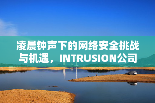 凌晨钟声下的网络安全挑战与机遇，INTRUSION公司的未知旅程