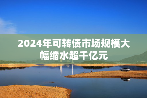 2024年可转债市场规模大幅缩水超千亿元