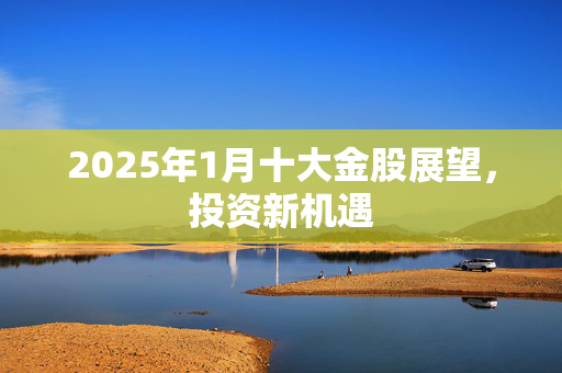 2025年1月十大金股展望，投资新机遇