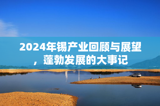 2024年锡产业回顾与展望，蓬勃发展的大事记