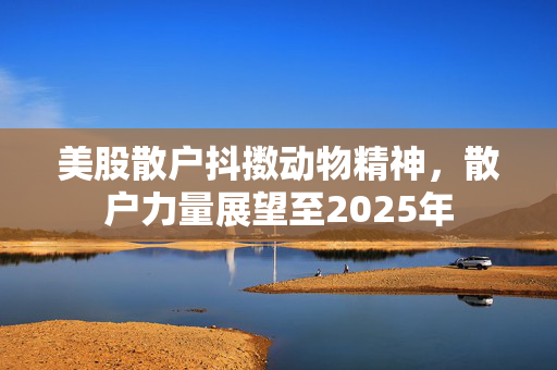 美股散户抖擞动物精神，散户力量展望至2025年