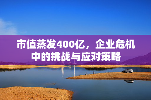 市值蒸发400亿，企业危机中的挑战与应对策略