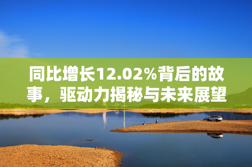 同比增长12.02%背后的故事，驱动力揭秘与未来展望