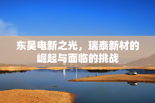 东吴电新之光，瑞泰新材的崛起与面临的挑战