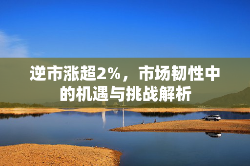 逆市涨超2%，市场韧性中的机遇与挑战解析