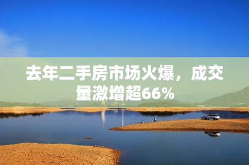 去年二手房市场火爆，成交量激增超66%