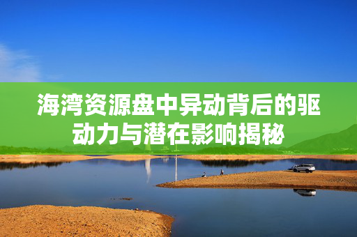 海湾资源盘中异动背后的驱动力与潜在影响揭秘