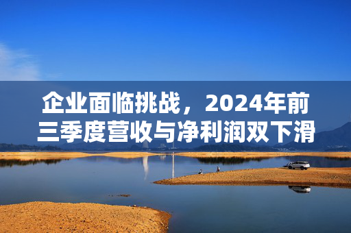 企业面临挑战，2024年前三季度营收与净利润双下滑深度解析