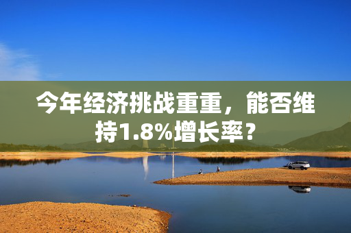 今年经济挑战重重，能否维持1.8%增长率？