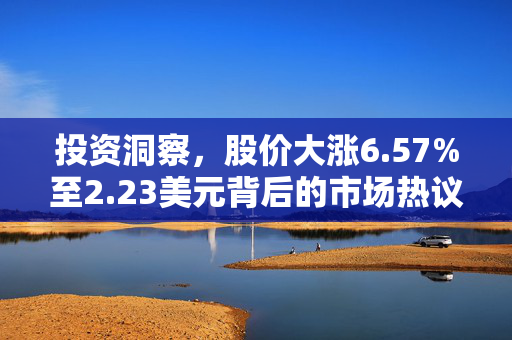 投资洞察，股价大涨6.57%至2.23美元背后的市场热议