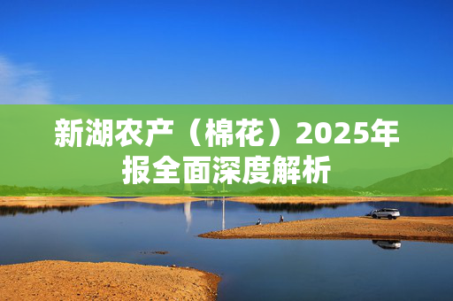 新湖农产（棉花）2025年报全面深度解析