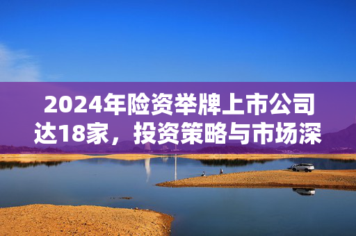 2024年险资举牌上市公司达18家，投资策略与市场深度影响解析