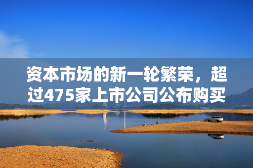 资本市场的新一轮繁荣，超过475家上市公司公布购买计划（2024年）