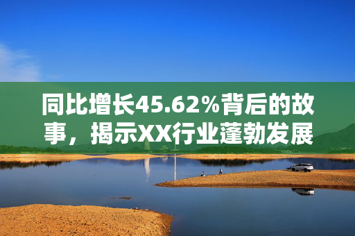 同比增长45.62%背后的故事，揭示XX行业蓬勃发展势头