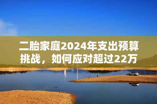 二胎家庭2024年支出预算挑战，如何应对超过22万的支出预算？