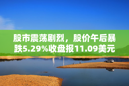 股市震荡剧烈，股价午后暴跌5.29%收盘报11.09美元