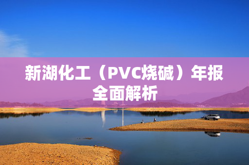 新湖化工（PVC烧碱）年报全面解析