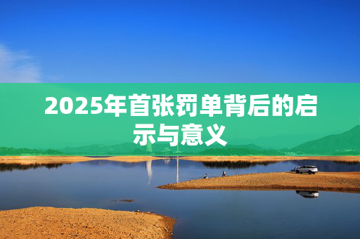 2025年首张罚单背后的启示与意义