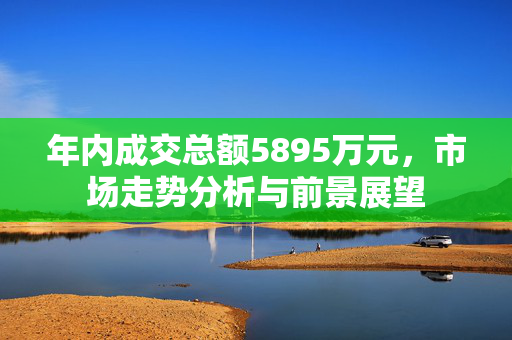 年内成交总额5895万元，市场走势分析与前景展望