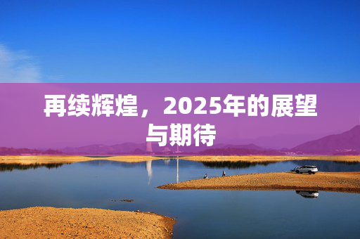 再续辉煌，2025年的展望与期待