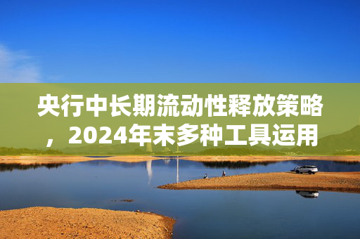 央行中长期流动性释放策略，2024年末多种工具运用分析