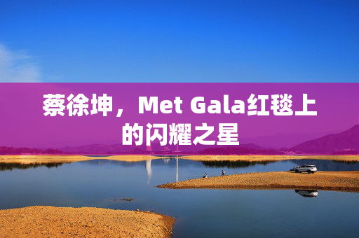 蔡徐坤，Met Gala红毯上的闪耀之星