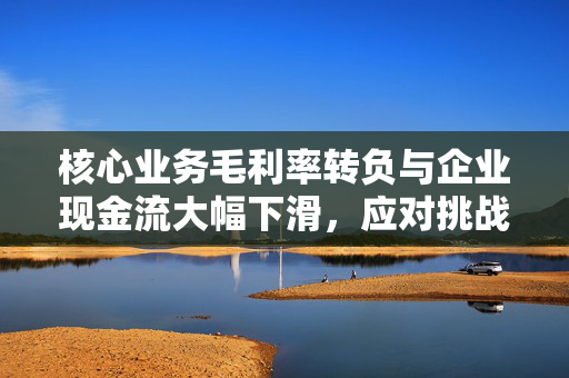 核心业务毛利率转负与企业现金流大幅下滑，应对挑战的策略