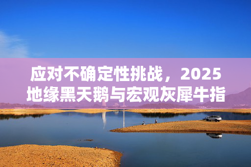 应对不确定性挑战，2025地缘黑天鹅与宏观灰犀牛指南