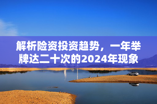 解析险资投资趋势，一年举牌达二十次的2024年现象