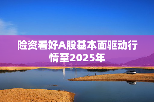 险资看好A股基本面驱动行情至2025年