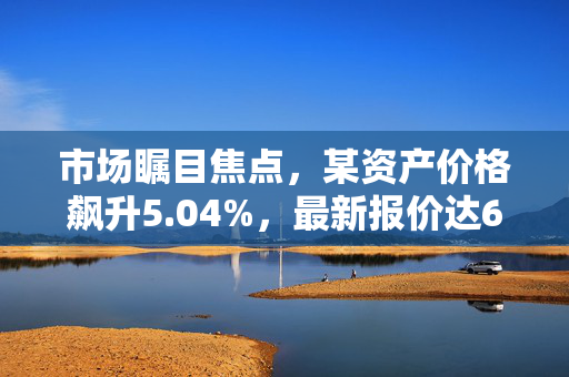 市场瞩目焦点，某资产价格飙升5.04%，最新报价达6.97美元