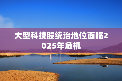 大型科技股统治地位面临2025年危机