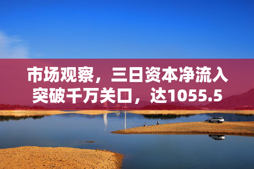 市场观察，三日资本净流入突破千万关口，达1055.55万元