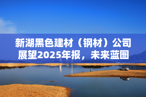 新湖黑色建材（钢材）公司展望2025年报，未来蓝图与战略展望