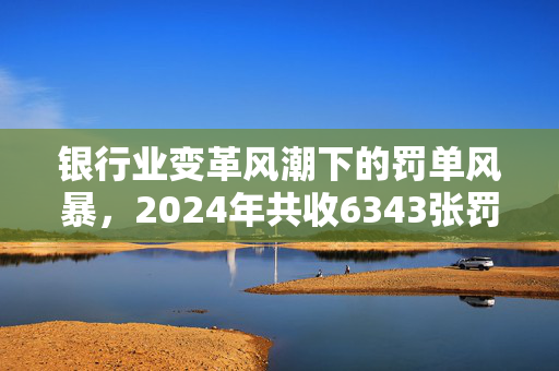 银行业变革风潮下的罚单风暴，2024年共收6343张罚单