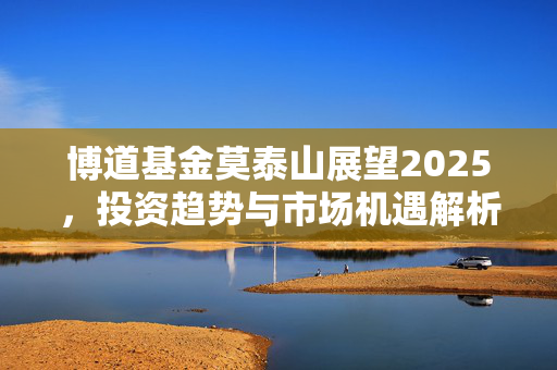 博道基金莫泰山展望2025，投资趋势与市场机遇解析