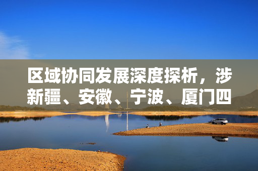 区域协同发展深度探析，涉新疆、安徽、宁波、厦门四局协同联动发展研究