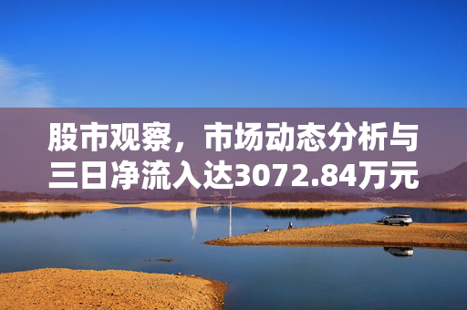 股市观察，市场动态分析与三日净流入达3072.84万元深度剖析