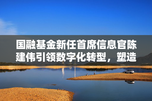 国融基金新任首席信息官陈建伟引领数字化转型，塑造卓越投资新篇章