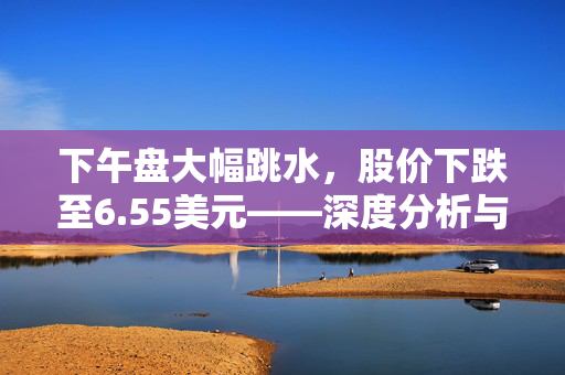 下午盘大幅跳水，股价下跌至6.55美元——深度分析与应对策略