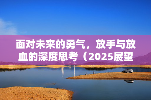 面对未来的勇气，放手与放血的深度思考（2025展望）