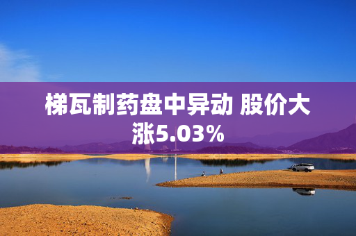 梯瓦制药盘中异动 股价大涨5.03%