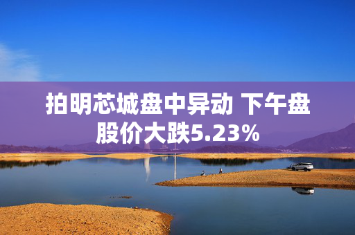 拍明芯城盘中异动 下午盘股价大跌5.23%