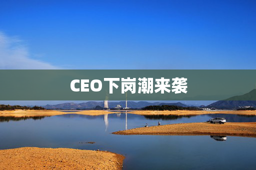 CEO下岗潮来袭