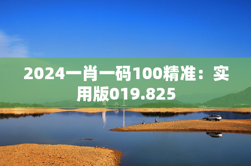 2024一肖一码100精准：实用版019.825